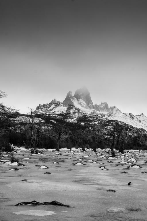 Confin Patagonico Hotel El Chaltén Eksteriør billede