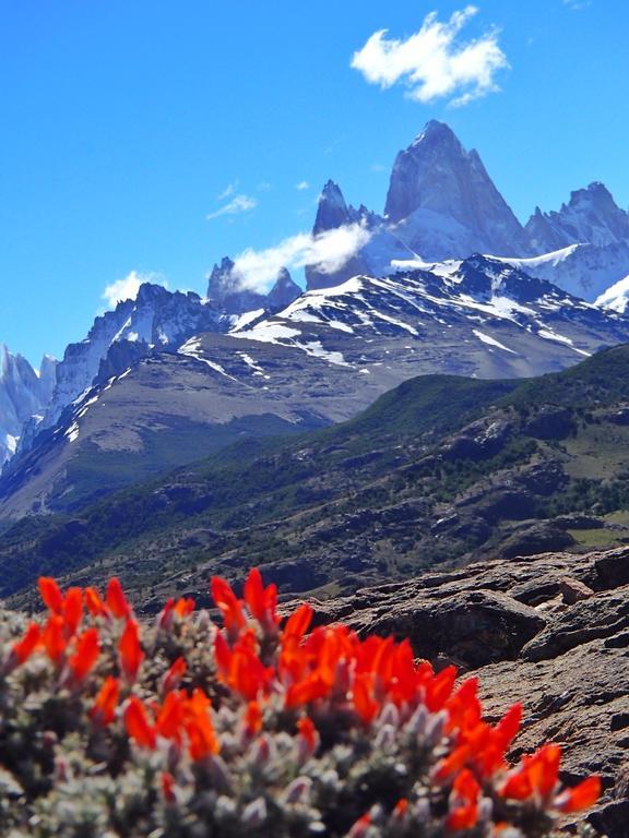 Confin Patagonico Hotel El Chaltén Eksteriør billede