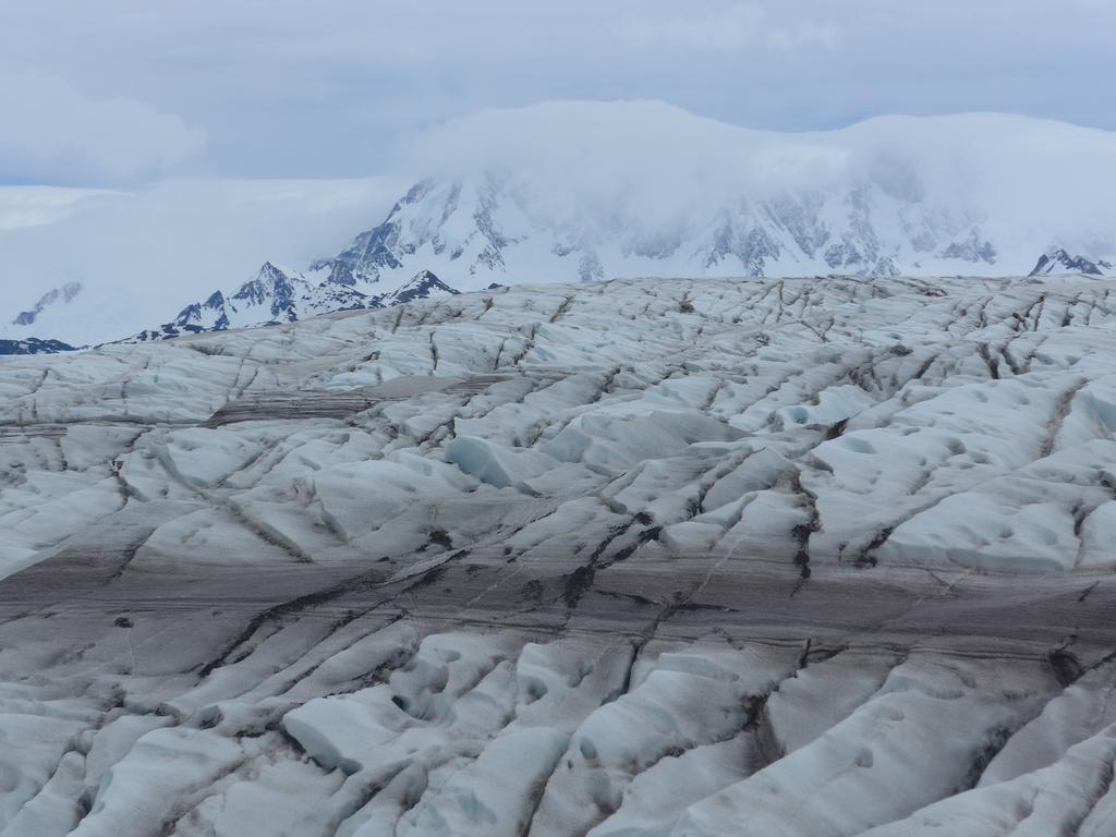 Confin Patagonico Hotel El Chaltén Eksteriør billede