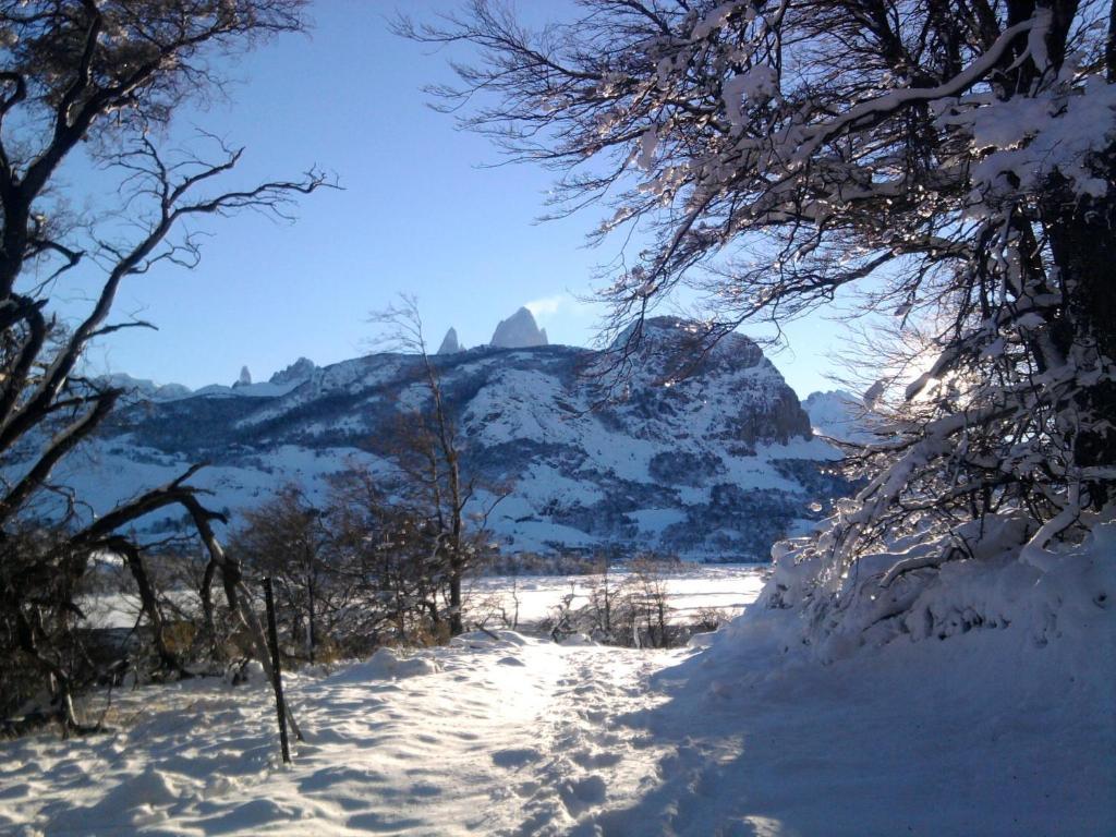 Confin Patagonico Hotel El Chaltén Eksteriør billede